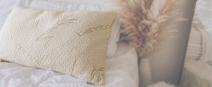 Bamboo Pillow Case